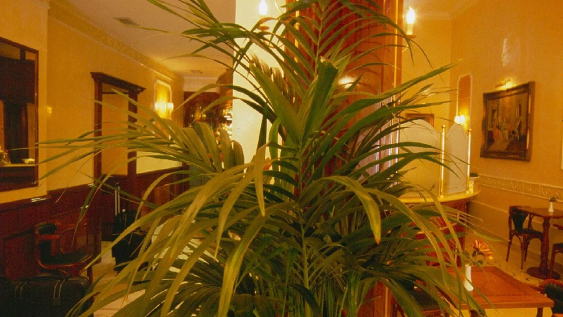 Hotel Quisisana Rome